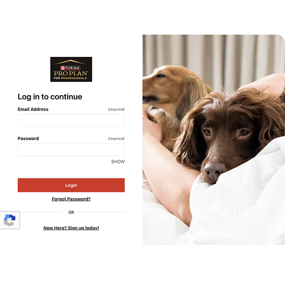 Whole-site password protection